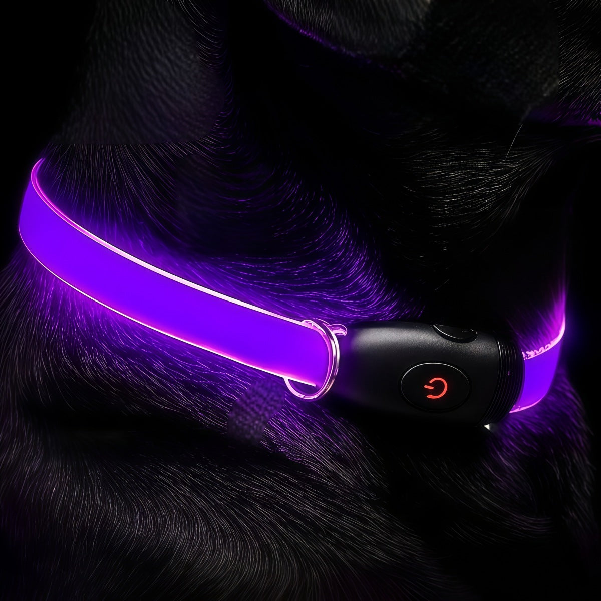 LED Light-Up Dog Collar – Reflective Safety Collar for Night Walks