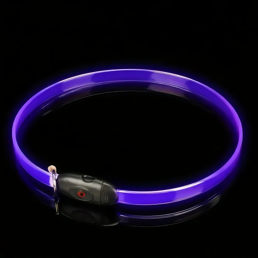 LED Light-Up Dog Collar – Reflective Safety Collar for Night Walks
