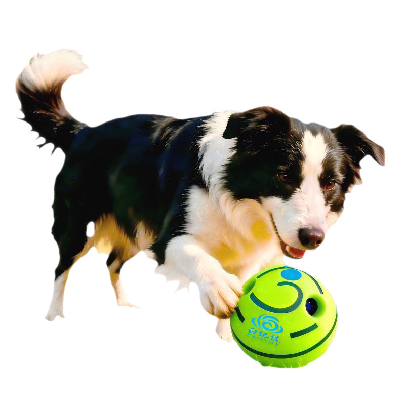 Durable Chew Resistant Pet Sound Toys