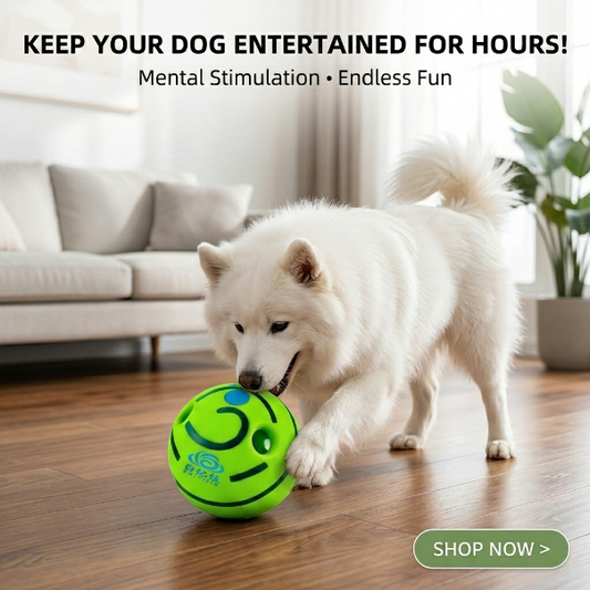 Durable Chew Resistant Pet Sound Toys